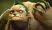 Pudge