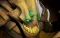 Sand King