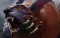 Ursa